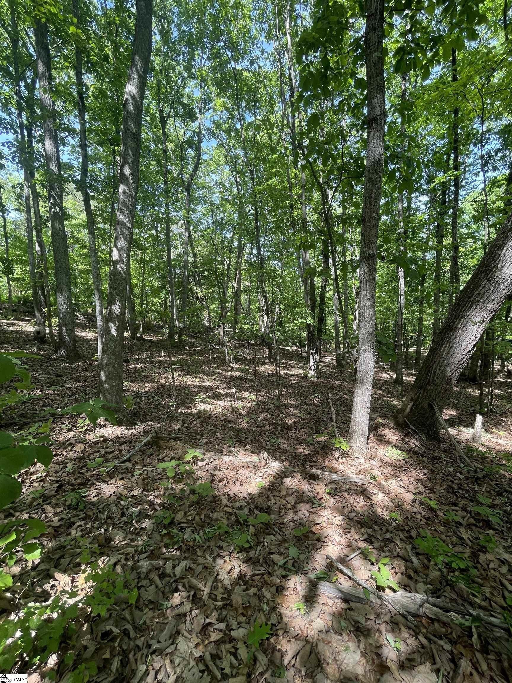 Residential Land in Taylors, SC