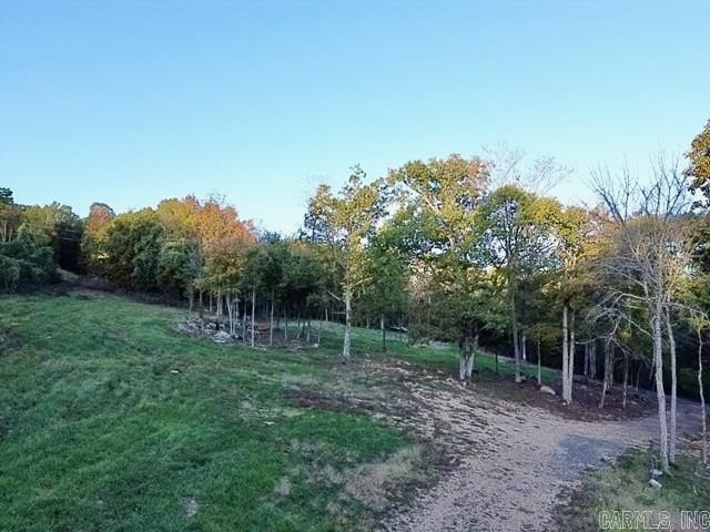 Picture 13
