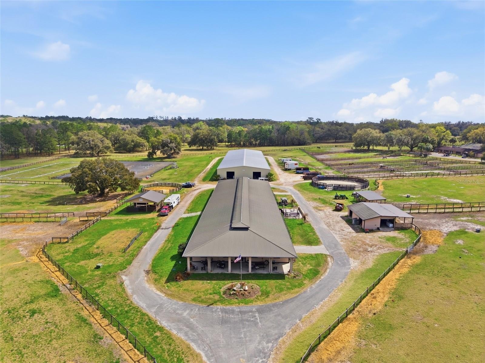 Premier Ocala Equine Masterpiece