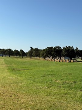 LAND - Poolville, TX