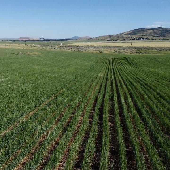 Idaho Land with Mountain Views