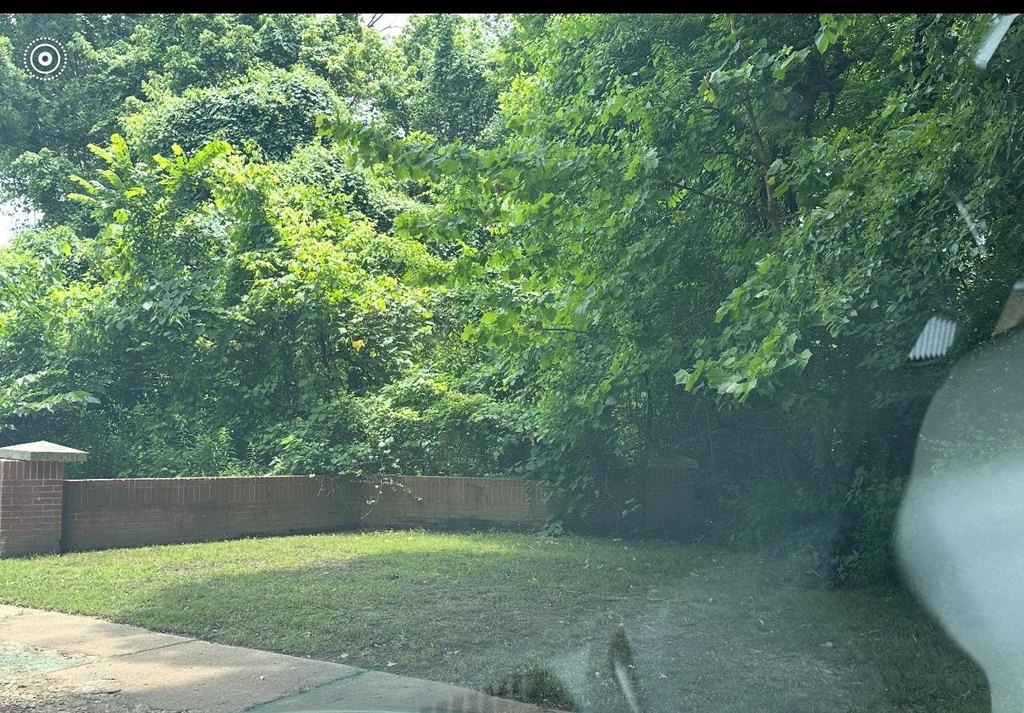 Picture 2
