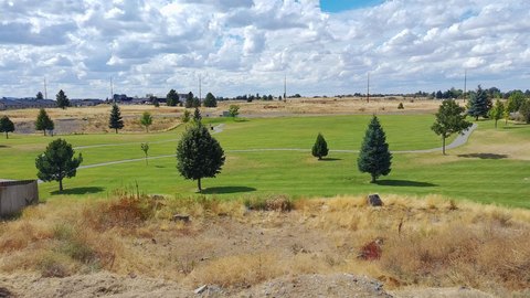 Buildable Lot Backing Landreth Park