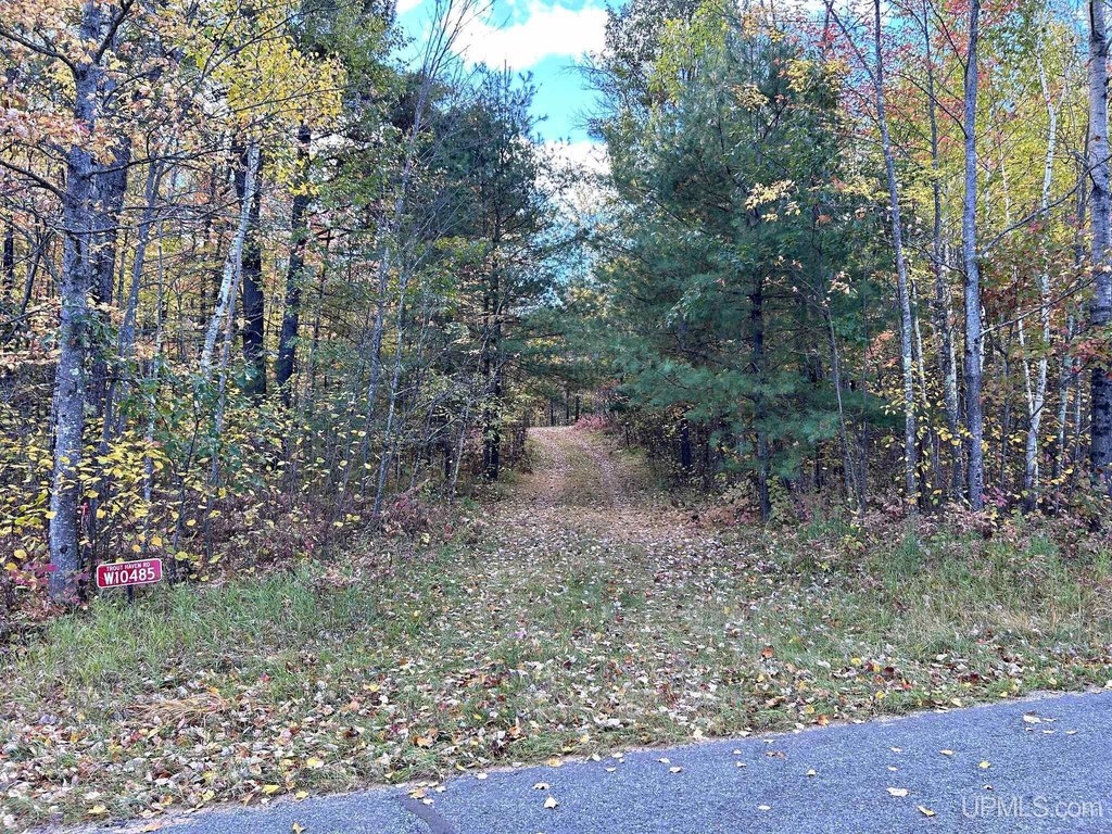 Picture 3