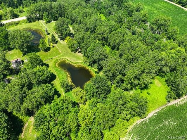 Picture 7