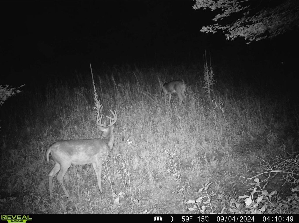 Picture 12