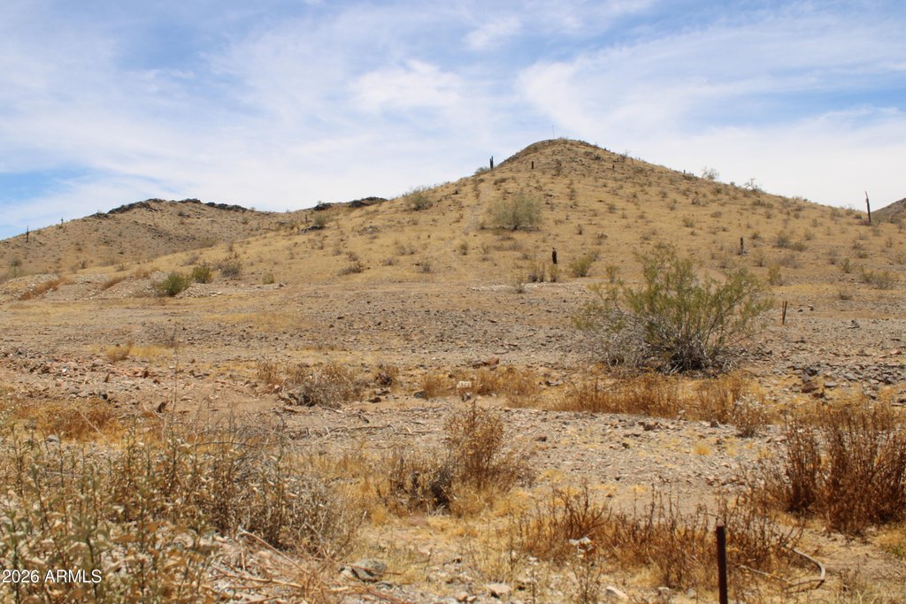 Picture 7