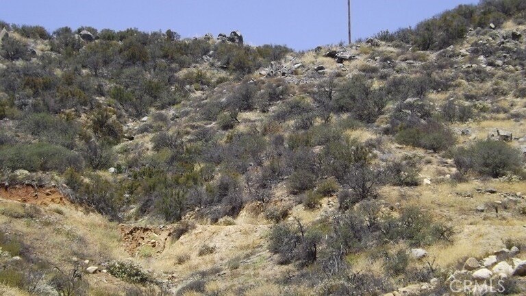 Picture 7
