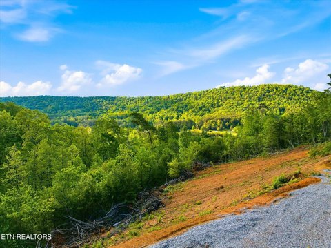 LAND - Tellico Plains, TN
