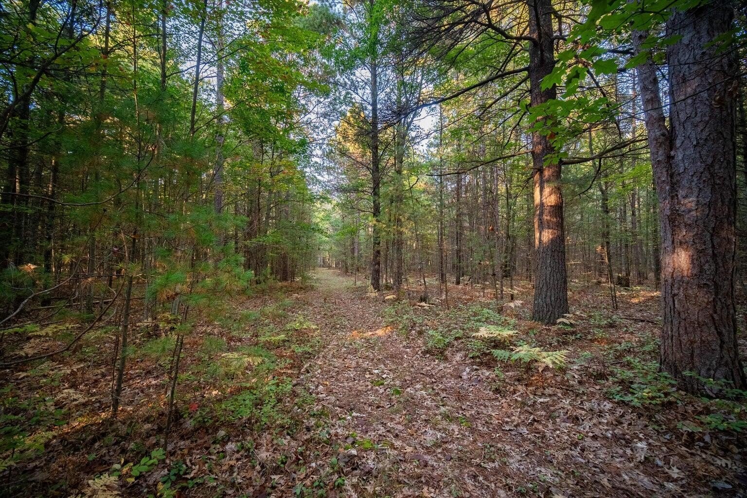 Manistee Land Parcel For Sale