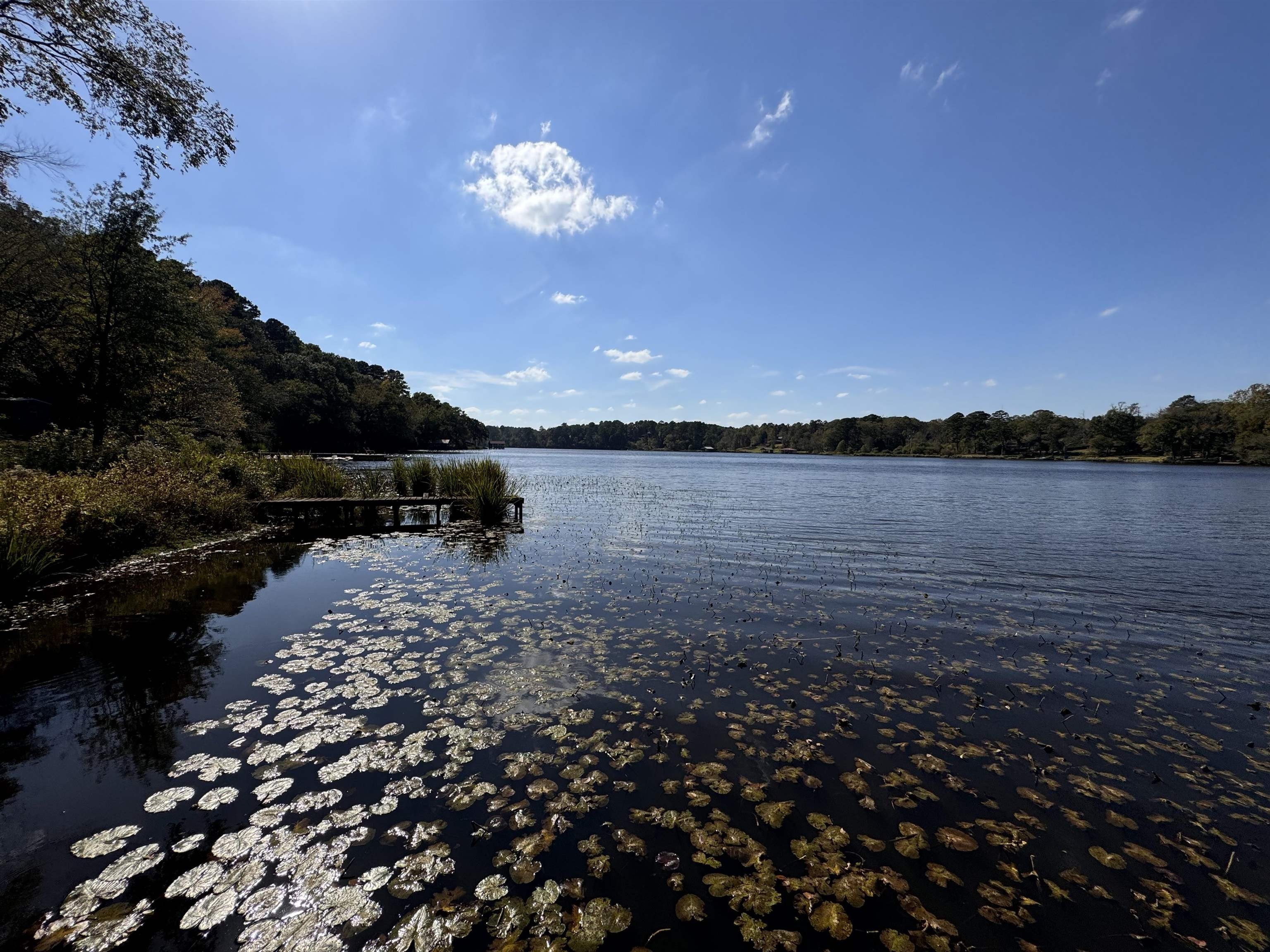 Waterfront Land on Lake Gladewater