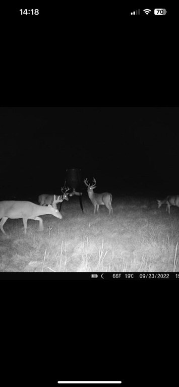 Picture 4
