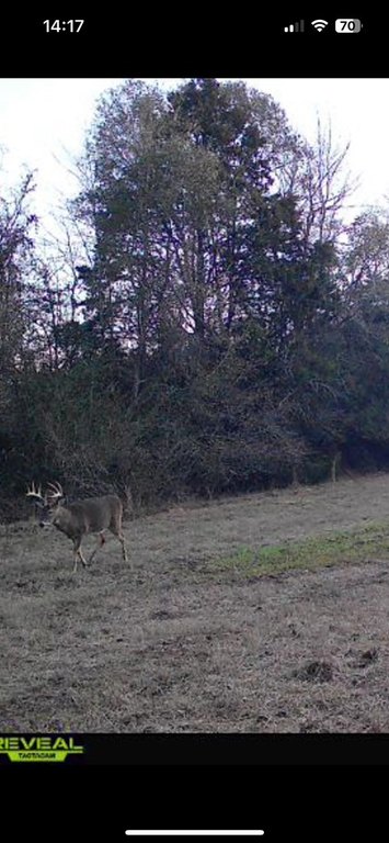 Picture 2