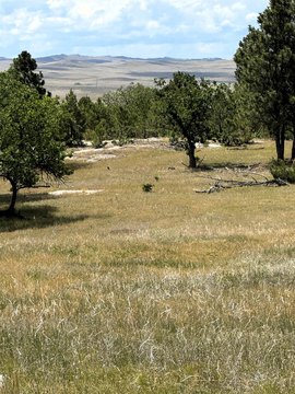 Fenced Rural Home Site Land