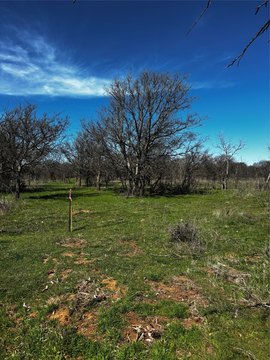 Land, Bellevue, TX