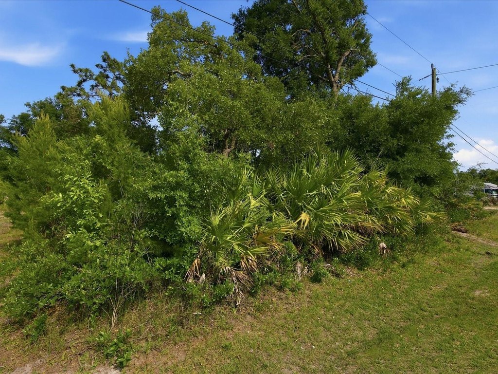 Picture 5