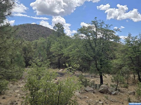 LAND - Pinos Altos, NM