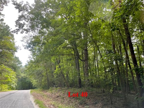 Heathsville, VA Building Lot