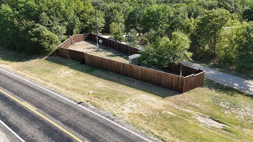 Picture 6