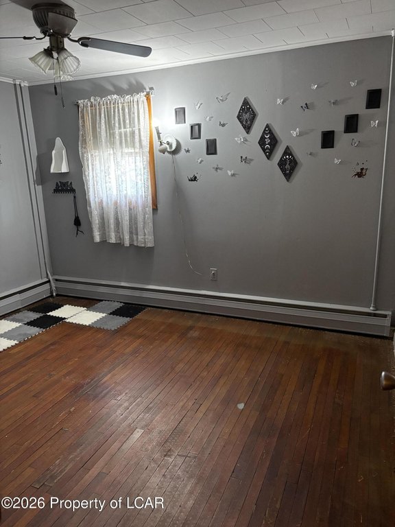 Picture 16