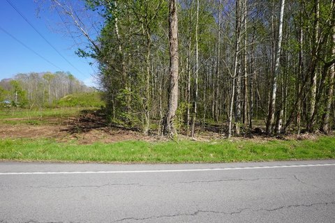 Wooded Acreage Near Stewart Forest