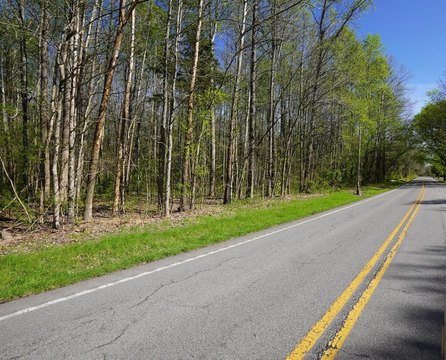Wooded Acreage Near Stewart Forest