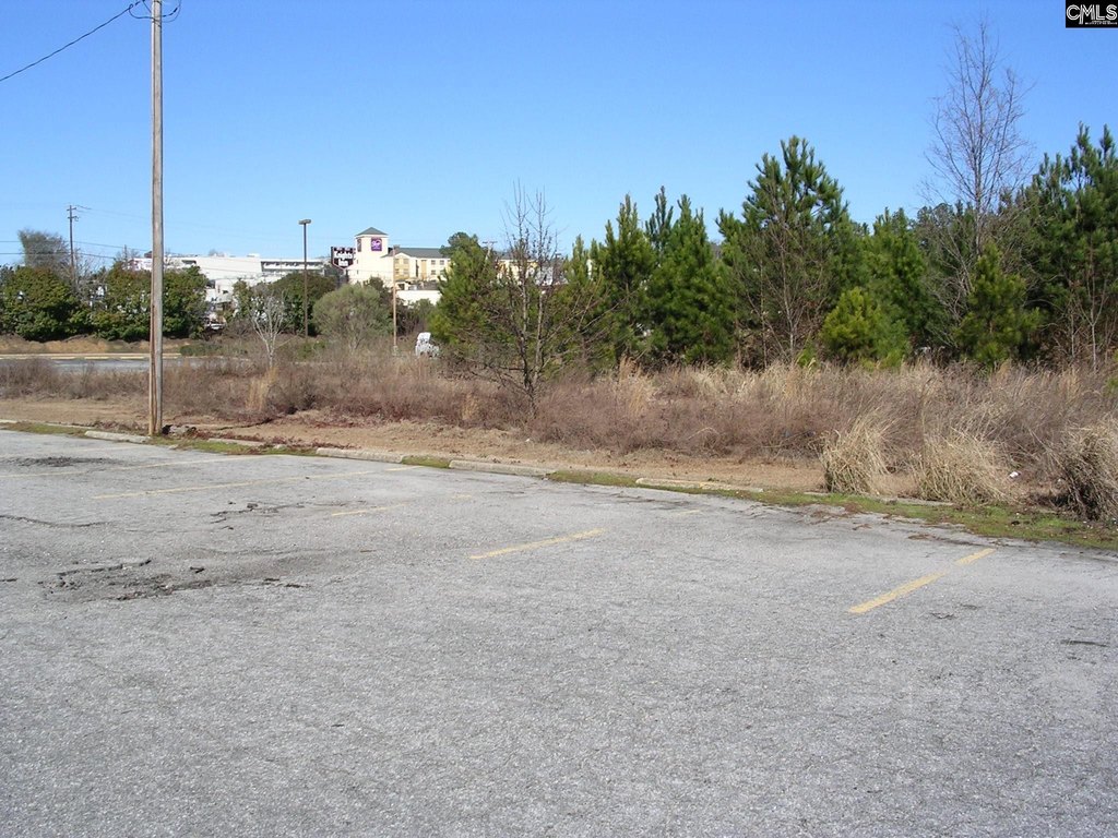 Picture 7