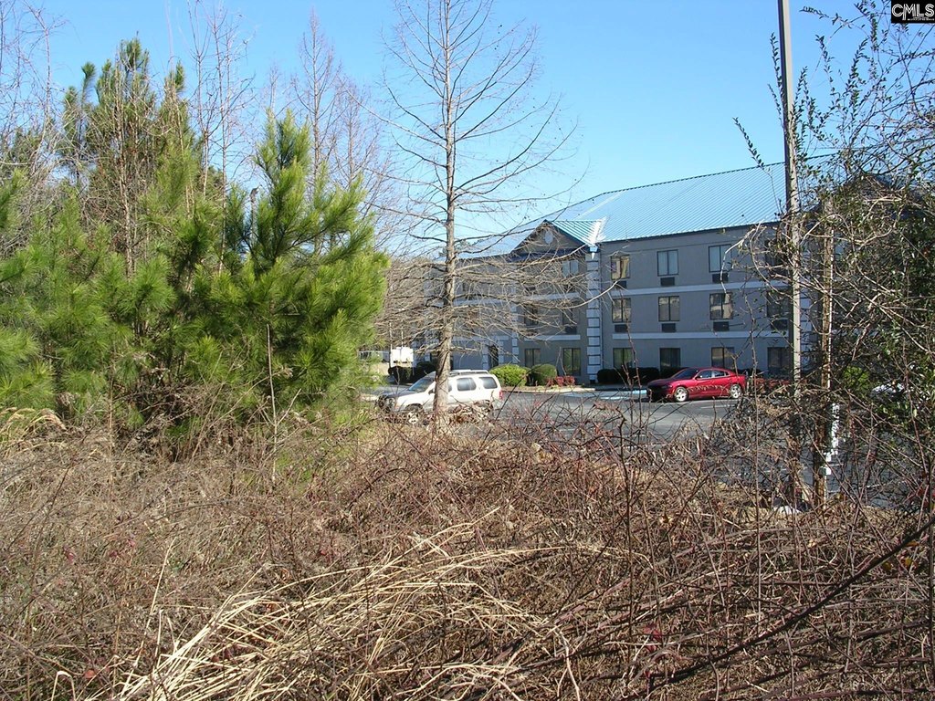 Picture 8
