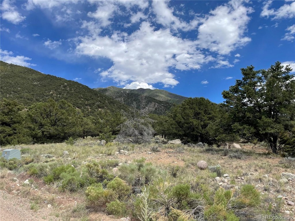 Picture 10