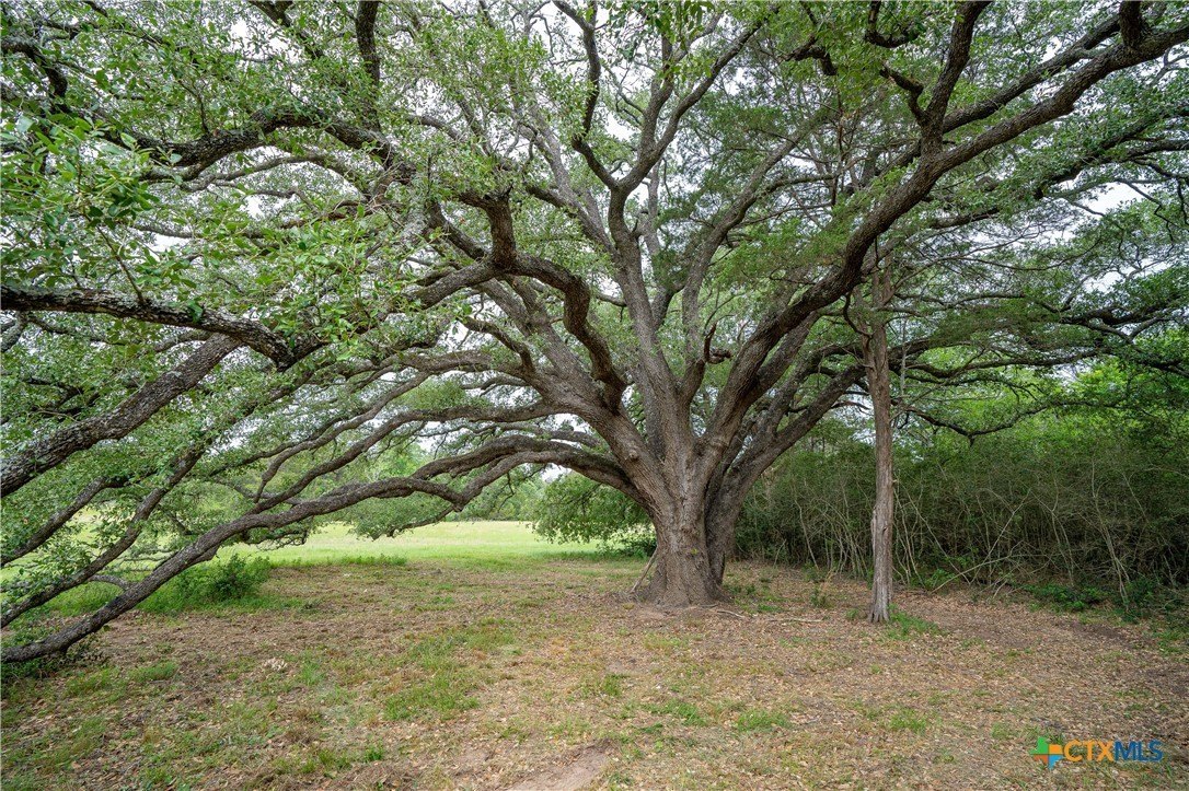 65 Acres of Raw Land
