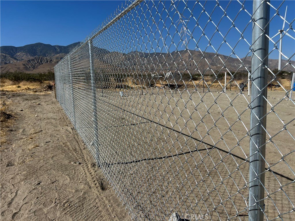 Picture 6