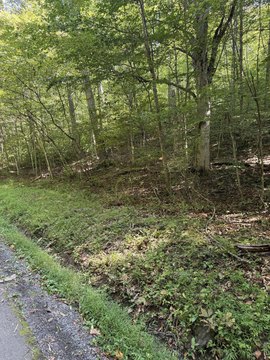 Land, Hillsboro, WV