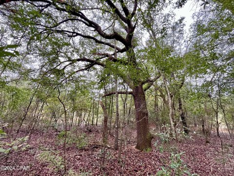 Land in Sunny Hills Community