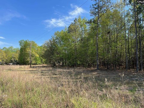 Partially Cleared Residential Land Lot