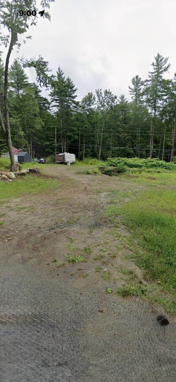 Picture 15
