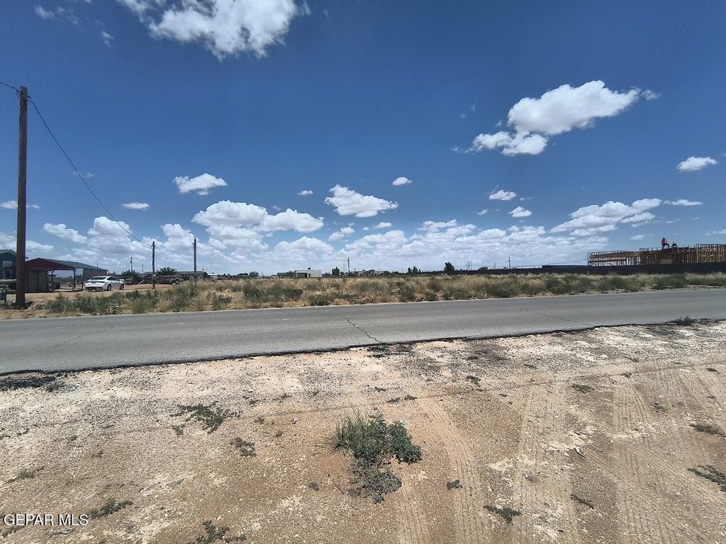 Picture 5