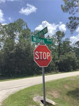 Land, NAPLES, FL