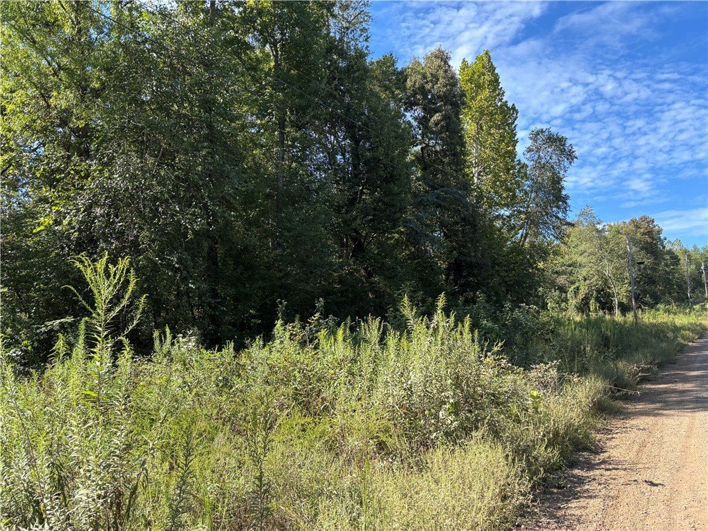 Land Near Crooked Branch Creek