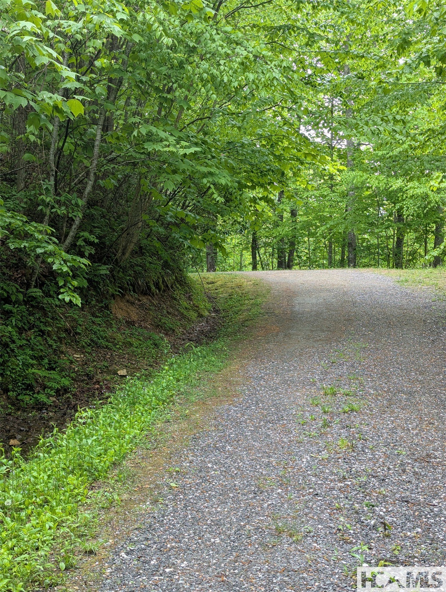 Land in Pilot Mountain