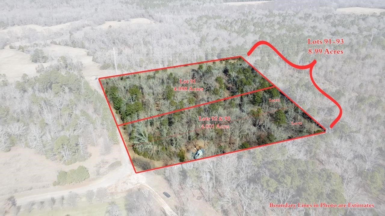 Secluded Acreage in East Texas
