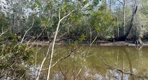 Land, Mobile, AL