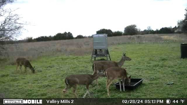 Picture 16