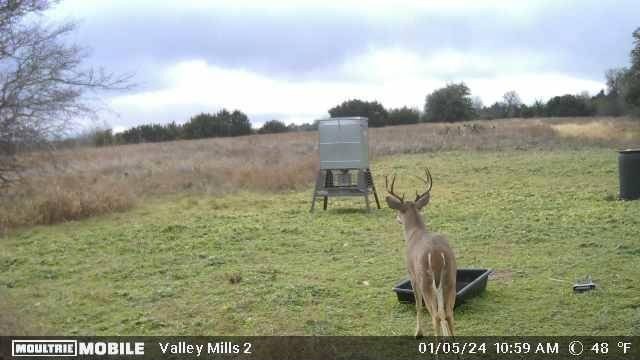Picture 19