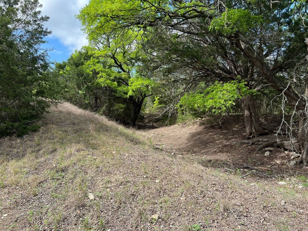 Picture 30