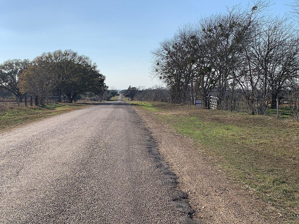 Picture 24
