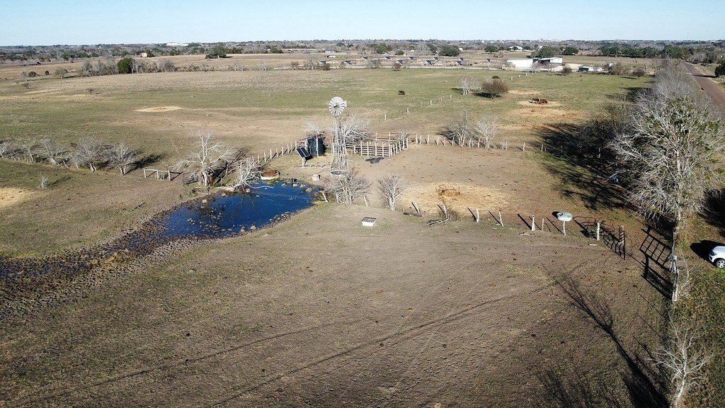 Picture 12