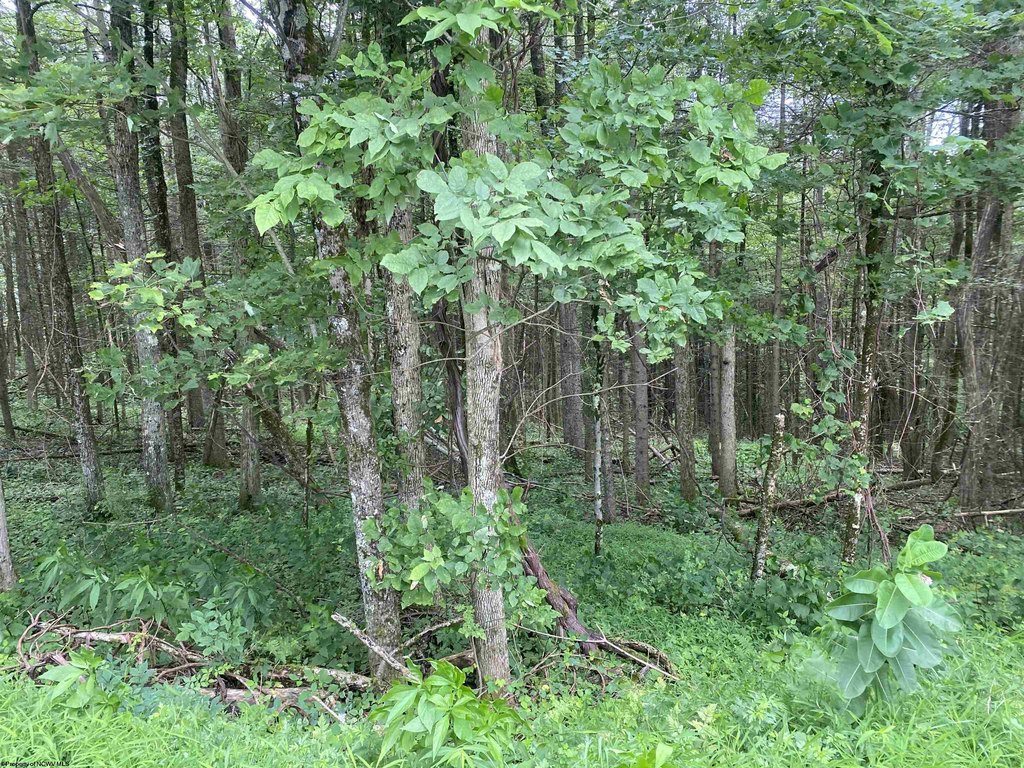 Picture 3