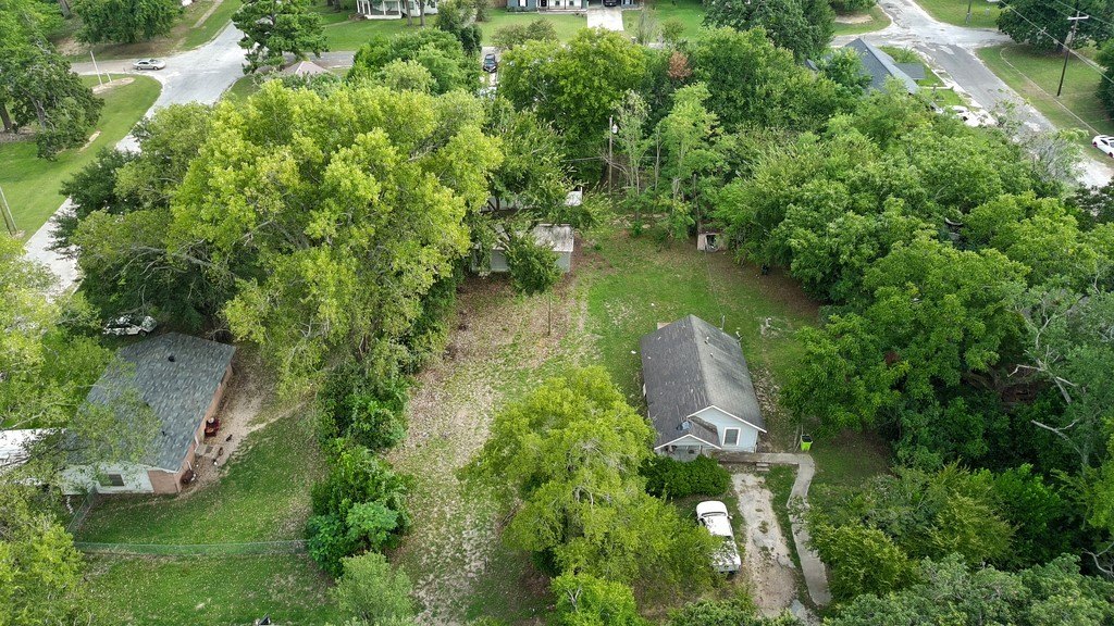 Picture 15