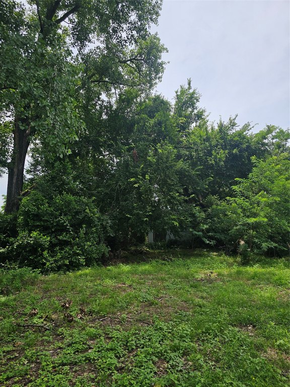 Picture 30