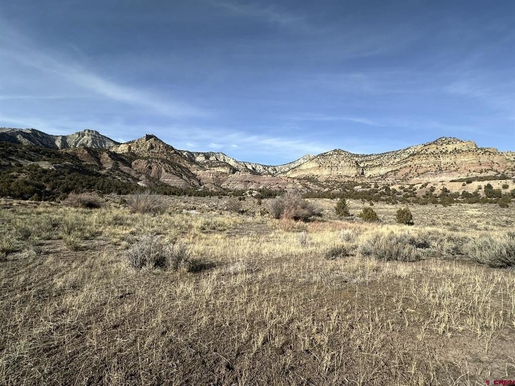 Picture 19